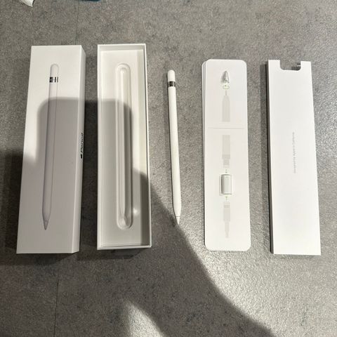 Apple Pencil (1)