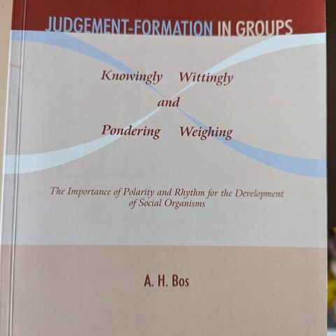 Judgement -formation in groups