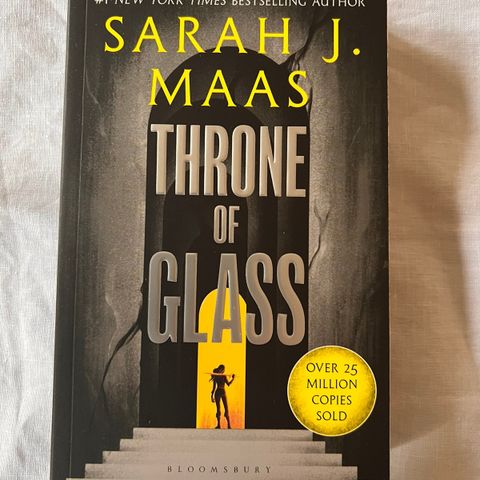 Throne of glass bok