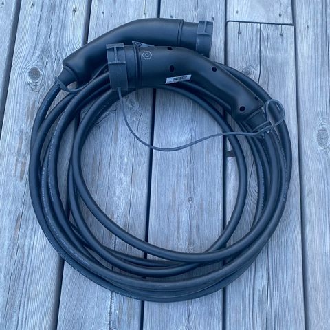 6 meter Delphi ladekabel type 2