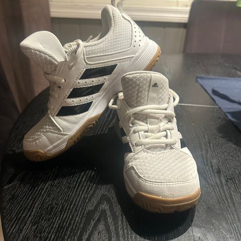 Adidas gymsko