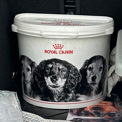 Royal canin liten forbøtte ønskes kjøpt