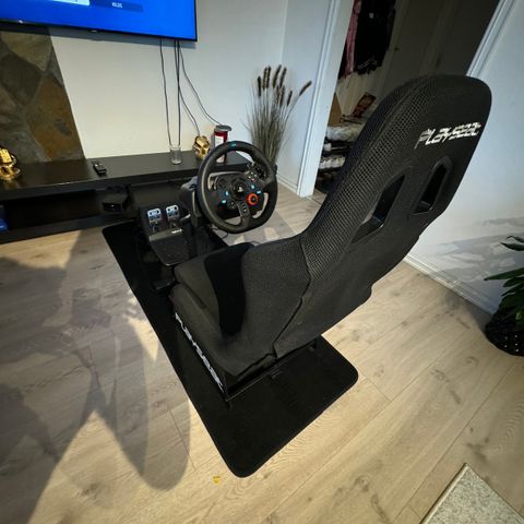 Logitech G29 + Playseat + Gulvmatte + Shifter