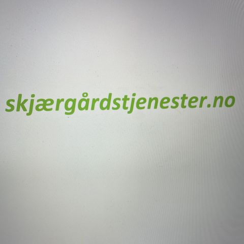 domenenavn  ( skjærgårdstjenester.no )