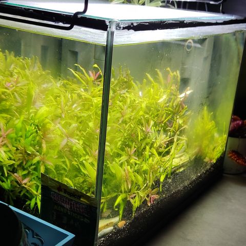 28L akvarium