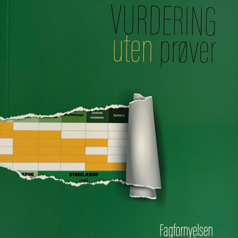 Vurdering uten prøver