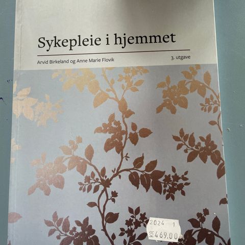 Sykepleie i hjemmet, Birkeland og Flovik. Sykepleier.