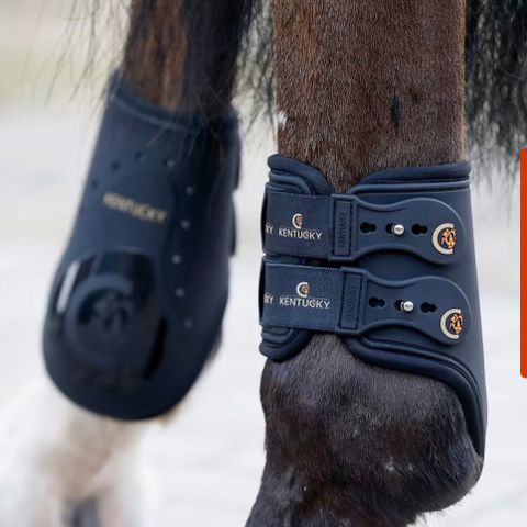 Kentucky Horsewear Fetlock Boot Elastic bakbensbelegg str. Full