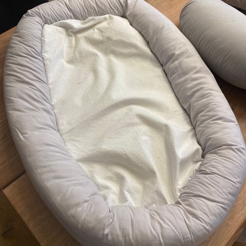 Babynest