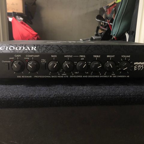 EBS Reidmar 250 W Bass Head