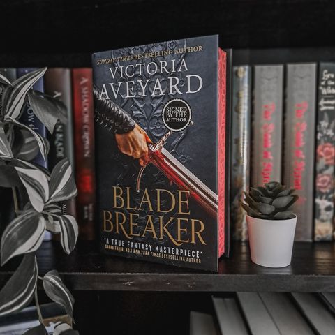 Waterstones | Blade Breaker (Signert)