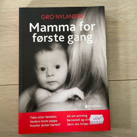 Mamma for første gang (Gro Nylander)