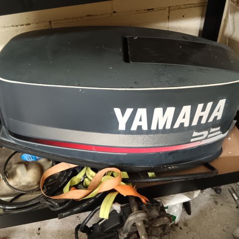 Yamaha 55