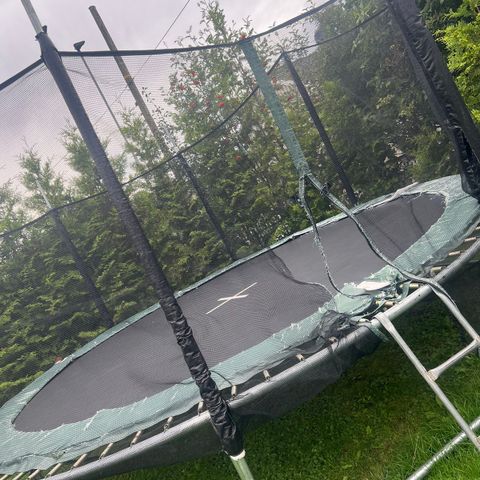 Trampoline gis bort