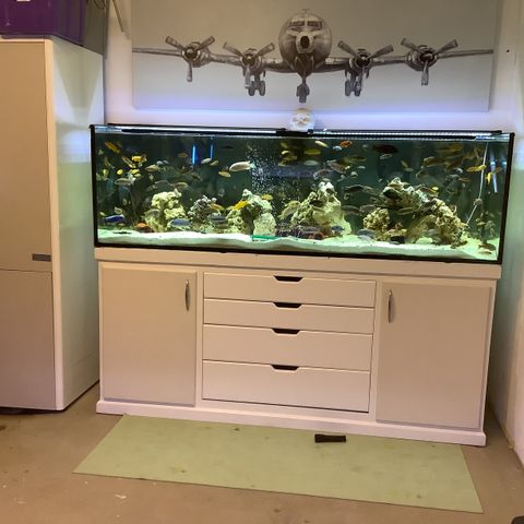 720 liter akvarie selges.