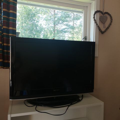 32" TV fra Grundig