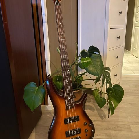 Ibanez SR370EF