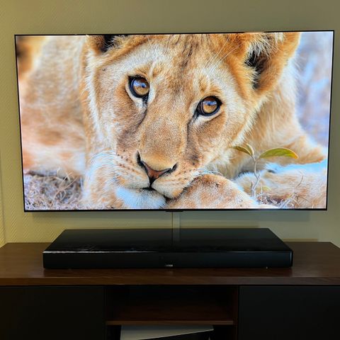 LG C2 Oled TV 65"