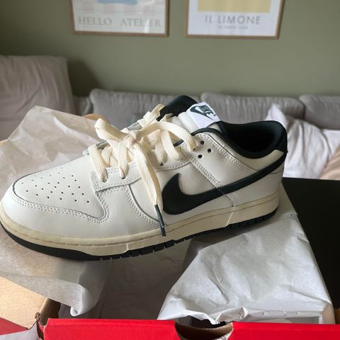 Nike low dunk str 43