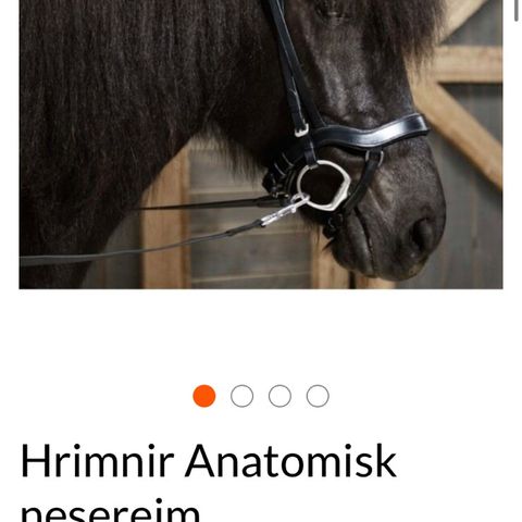 Hrimnir anatomisk nesereim