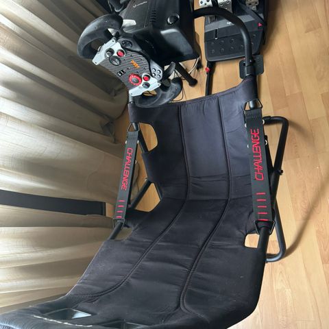 Racing sim med F1 ratt