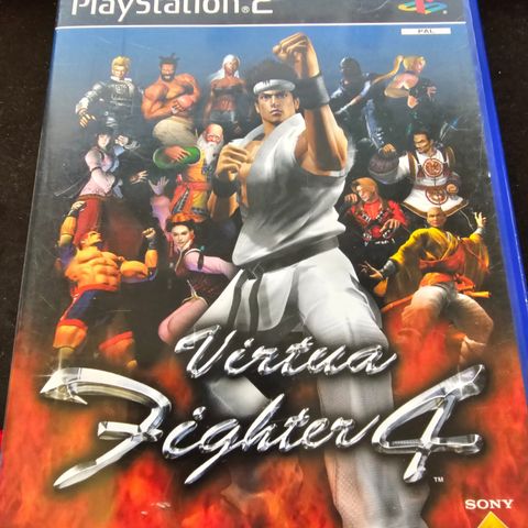 Virtua Fighter 4