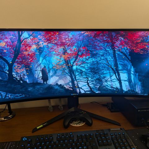 LG 34" 34GN850-B buet gamingskjerm 160hz (reservert)