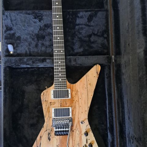 Q. Rich Hand made guitar (based on Gibson Explorer)