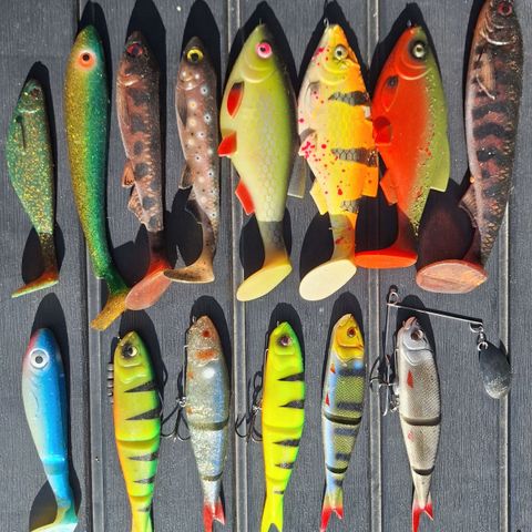 Shad  16-26 cm