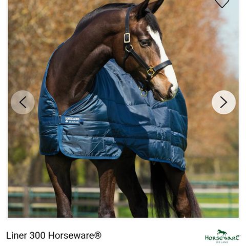 Horseware liner 300g, str 145. Som ny