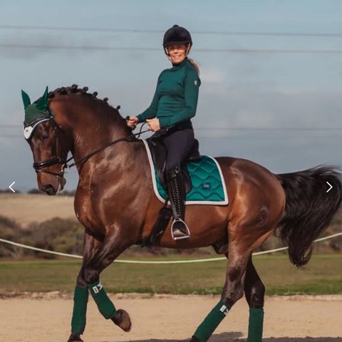 sett fra Equestrian Stockholm