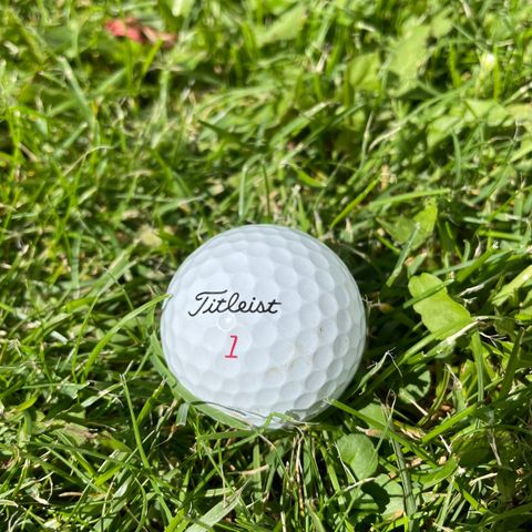 Brukte Pro V1 Golfballer