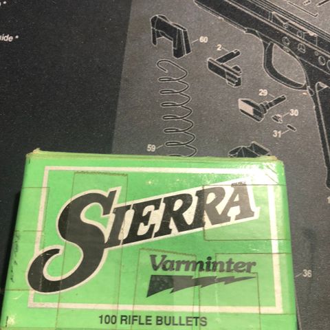 Sierra 6.5mm varmint