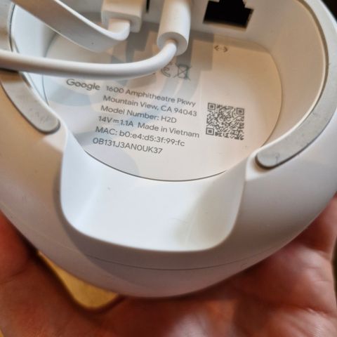 Google wifi H2D.