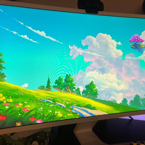 Samsung 27" Curved skjerm