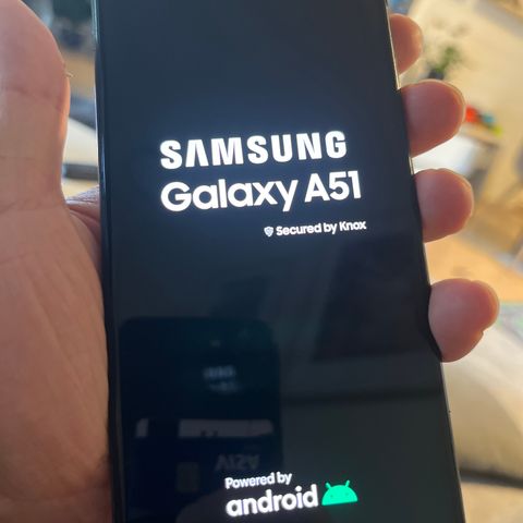 Samsung Galaxy a51