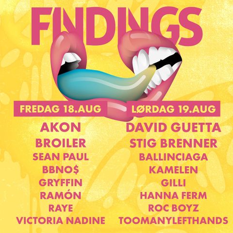 Premium findings festival biletter