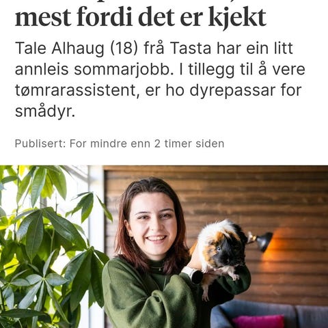 Annonsebilde