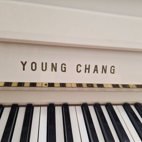 Young Chang piano selges