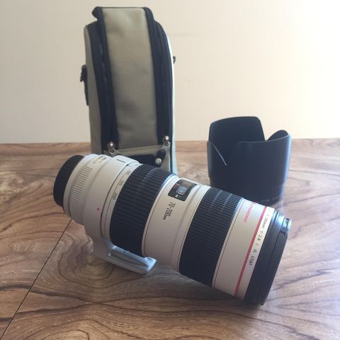 Canon EF 70-200 2.8