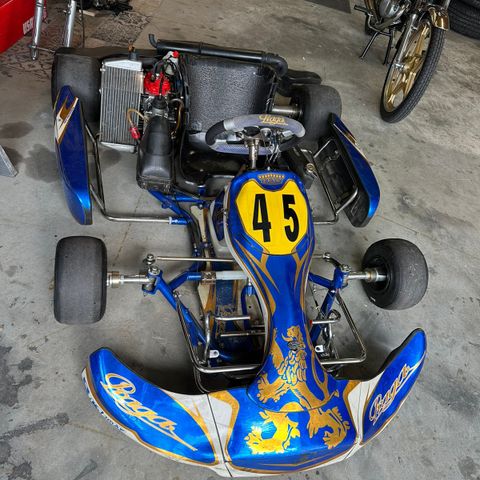 Praga Rotax 125 Gokart