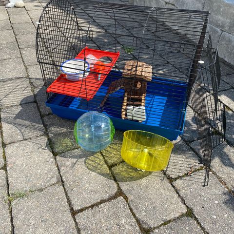 Hamsterbur med utstyr