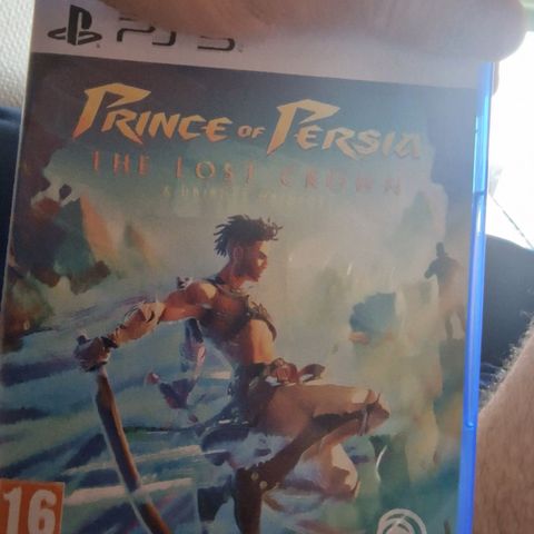 Prince of Persia: The Lost Crown (PS5)