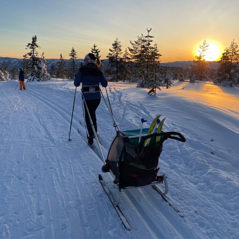 Thule Chariot Lite 1 sykkelvogn og pulk