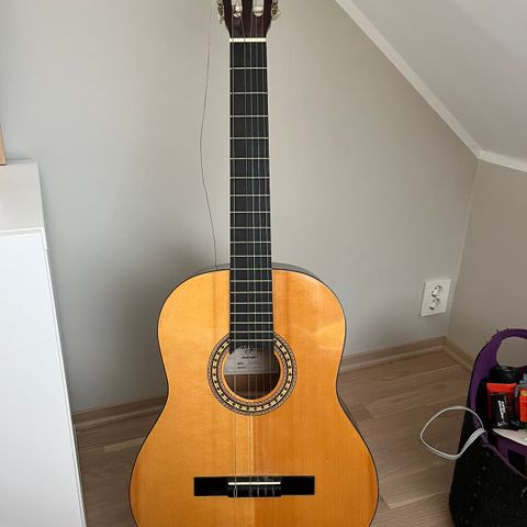 Morgan gitar med capo og stativ