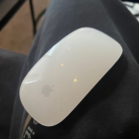 apple magic mouse 2