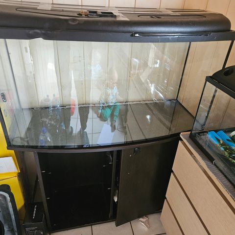 aquarium for sale