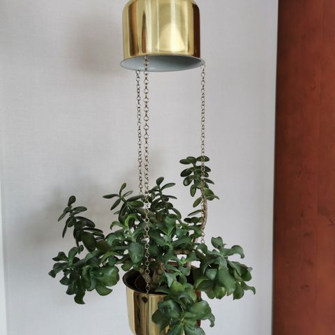 Blomster ampel med lampe