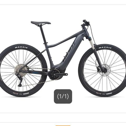 Giant Fathom E+ 2    29er Str. S