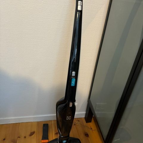 ELECTROLUX STØV SUGER